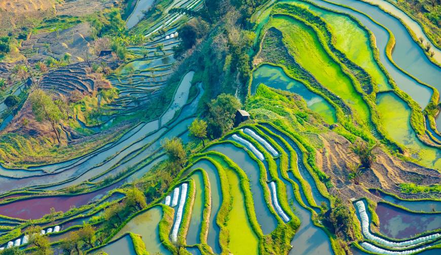 走进莎车县TVC拍摄：解锁本地化场景与创意镜头的完美融合